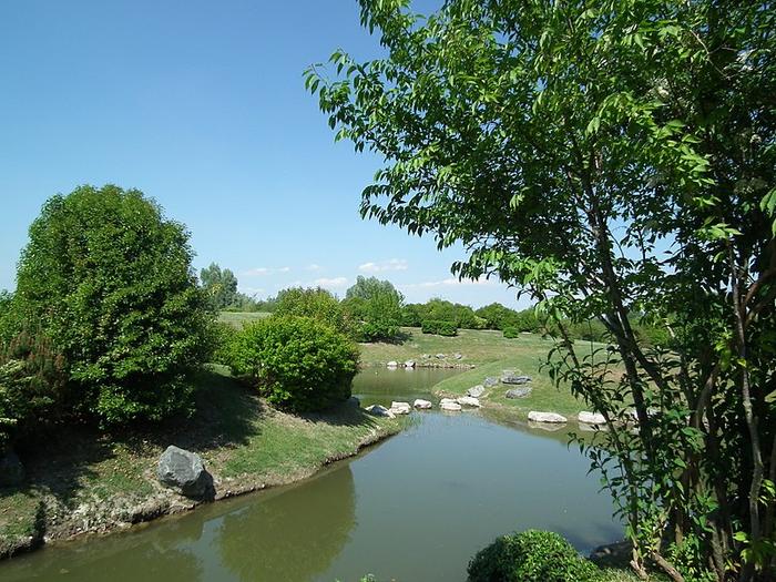 Marais_de_Pousseau Royan