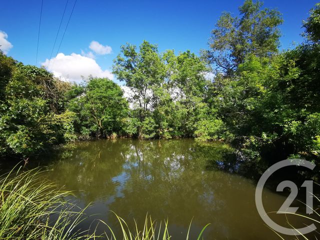maison à vendre - 7 pièces - 150.0 m2 - SAUJON - 17 - POITOU-CHARENTES - Century 21 Grand Large